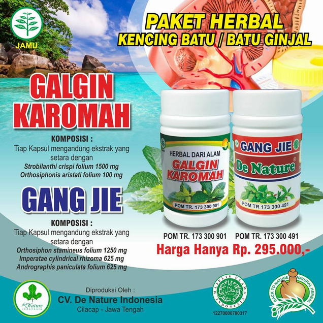 Illustration for article titled Penyakit Kencing Batu Karang